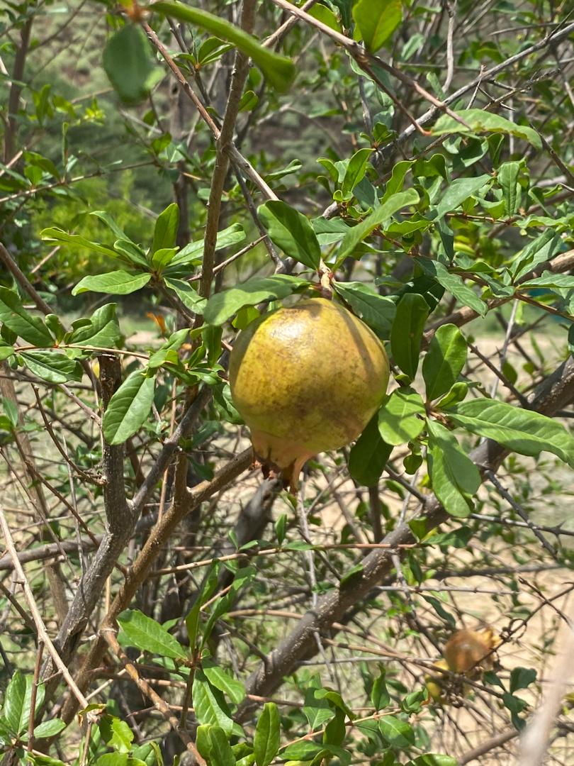 Features Image